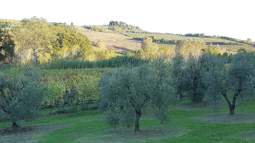 Podere Chiasso Gherardo Peccioli