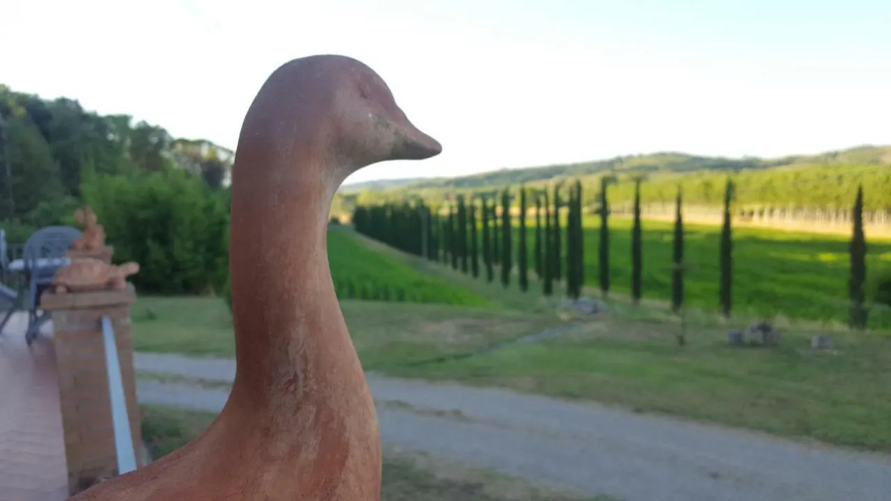 Podere Chiasso Gherardo Peccioli