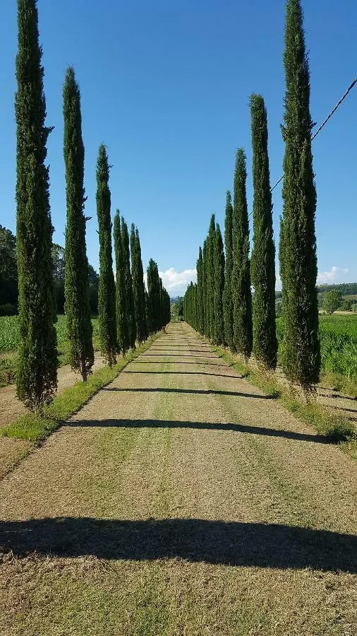 Podere Chiasso Gherardo Peccioli Farm stay