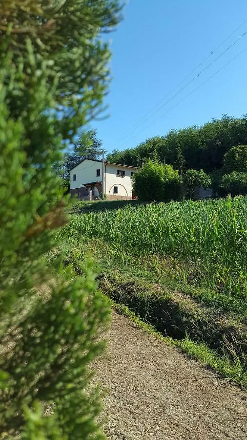 农家乐 Podere Chiasso Gherardo Peccioli 意大利