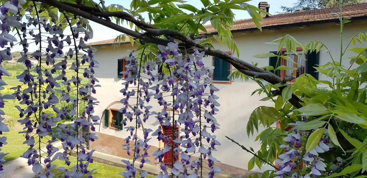 Podere Chiasso Gherardo Peccioli 0*,  Italy